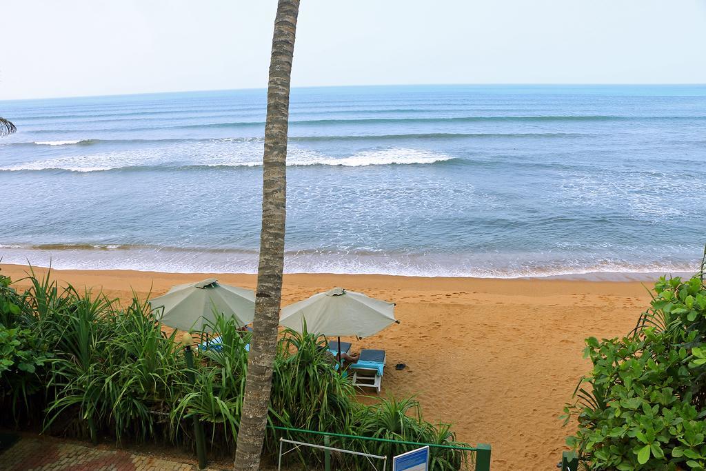 Beruwala шри ланка. Roy Villa Шри Ланка Beach. Берувела Шри Ланка. Пляж Берувела Шри Ланка. Отель Рой Шри Ланка.